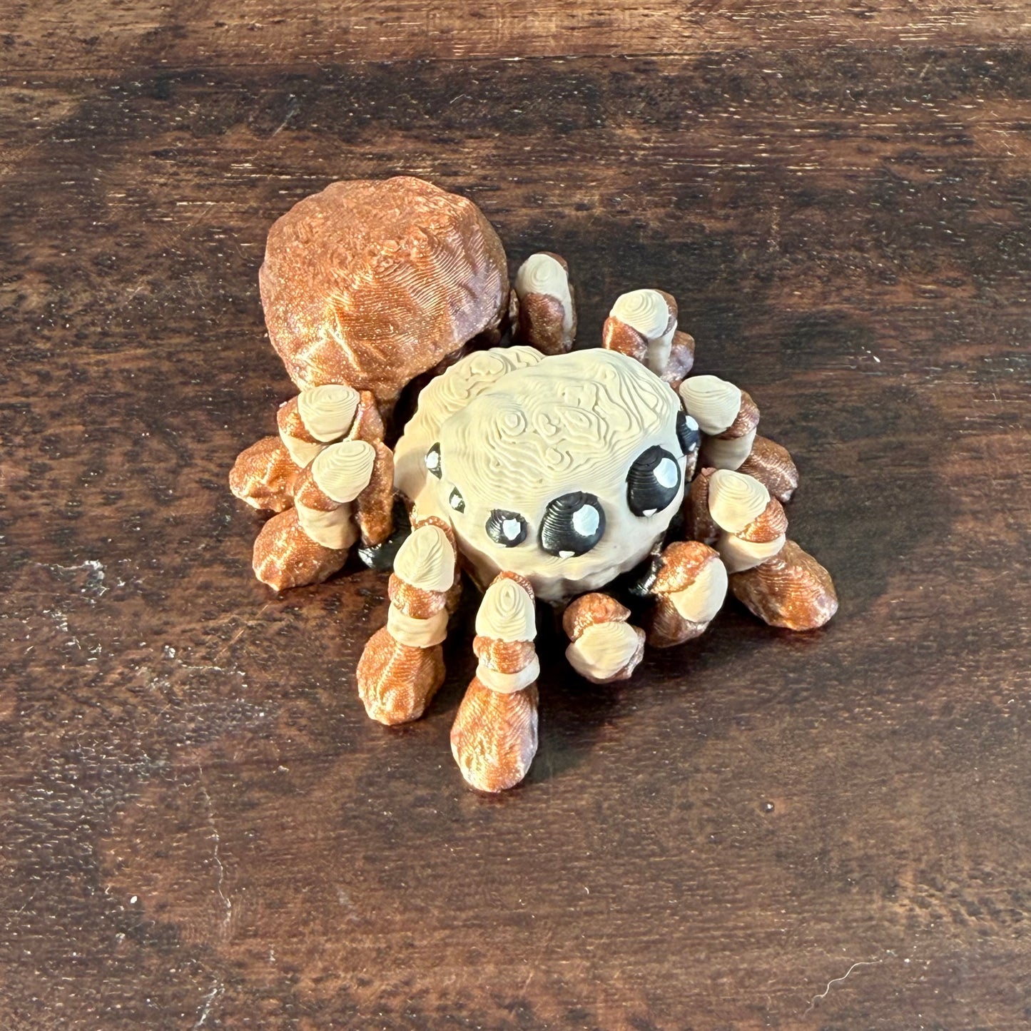 Liigendatud ämblik — 6cm